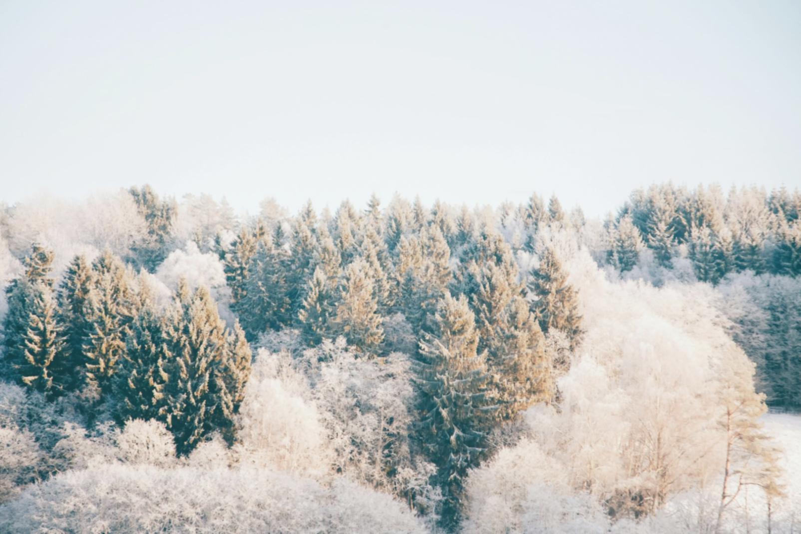Розробка туристичних маршрутів — практичні заняття