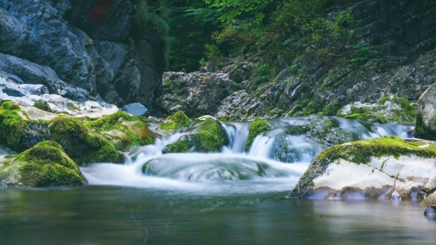 Гнучкий графік навчання на платформі Academlex Hub